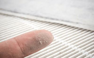 Maintain a Healthy Home with Clean Indoor Air