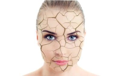 Suffering From Dry Winter Air? Install a Whole Home Humidifier