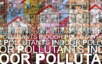 Protect Your Indoor Air Quality During National Lung Month