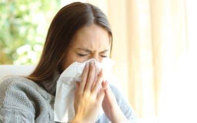 Relieve Allergy Symptoms by Improving Indoor Air Quality