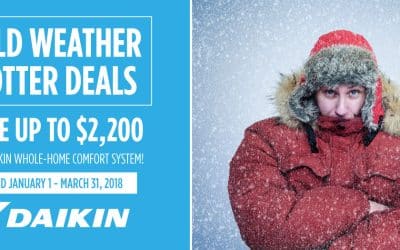 Conquer Cold Climates with Our Daikin Winter Promotion