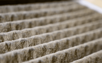 Best Way to Improve Indoor Air Quality