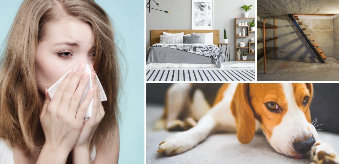 Reduce Allergy Symptoms at Home