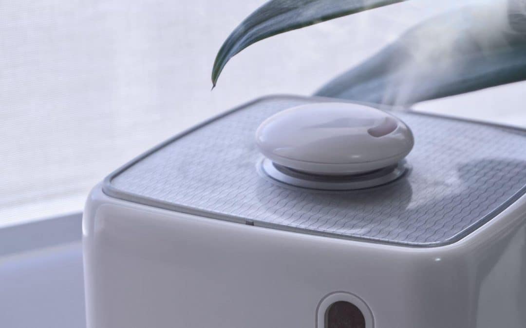 Whole Home vs Portable Humidifier: Which Is Best?