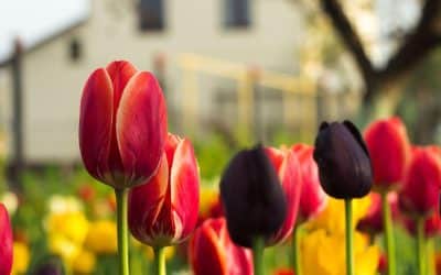 HVAC Spring Cleaning Tips To Help Prepare Your Home