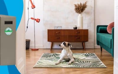 Will An Air Purifier Remove Odours From My Home?