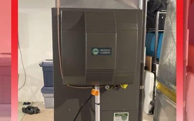 When Should I Turn On My Dehumidifier?