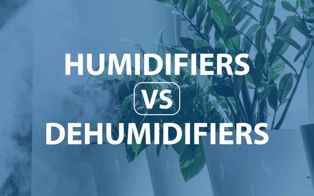 Humidifiers VS. Dehumidifiers: What’s The Difference?