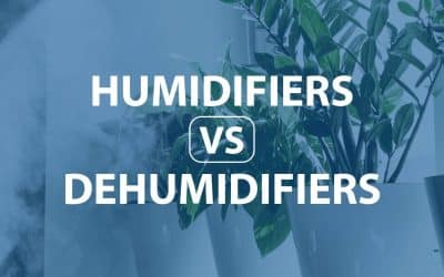 Humidifiers VS. Dehumidifiers: What’s The Difference?