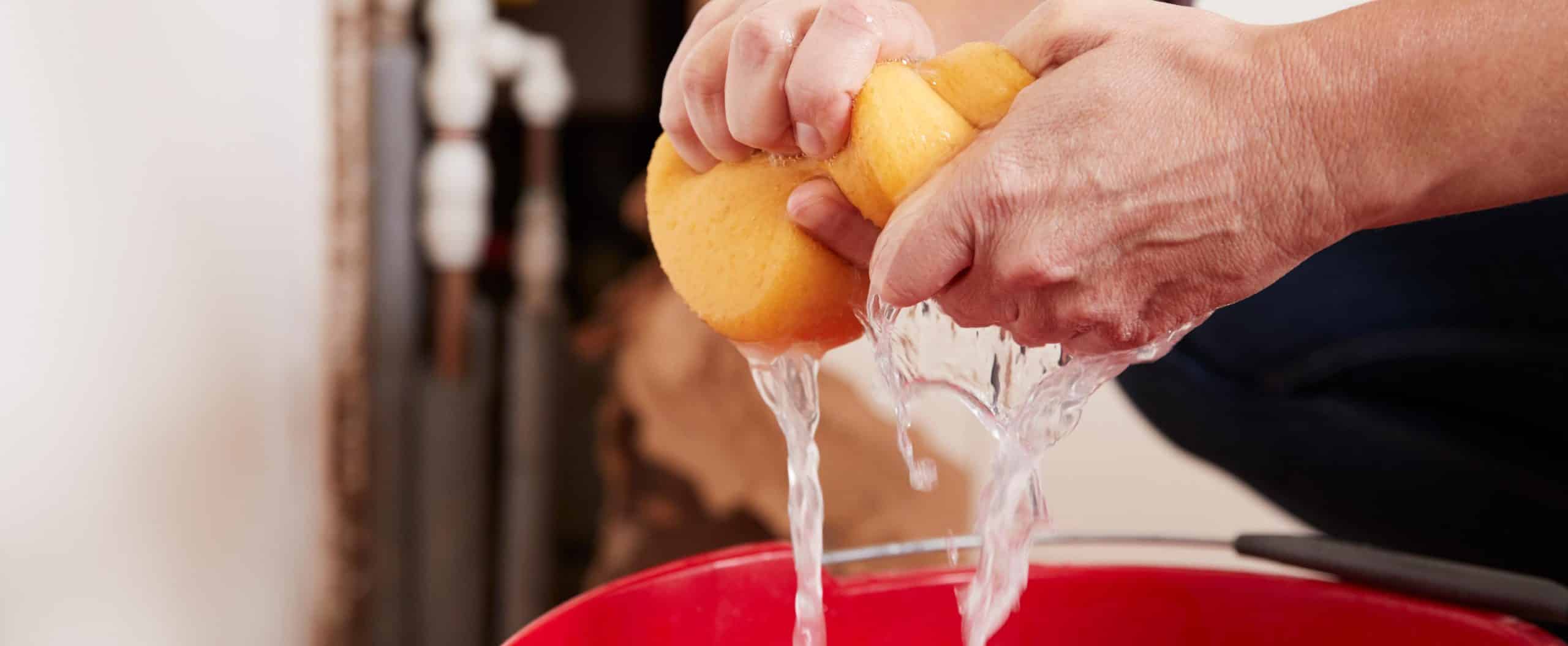 person ringing out a wet sponge over bucket