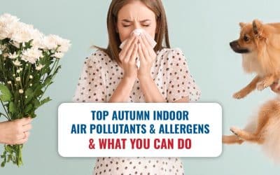 Top Autumn Indoor Air Pollutants & Allergens & What You Can Do 